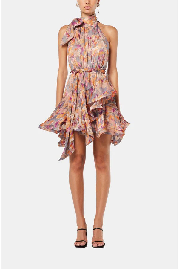 Aristocratic Dress