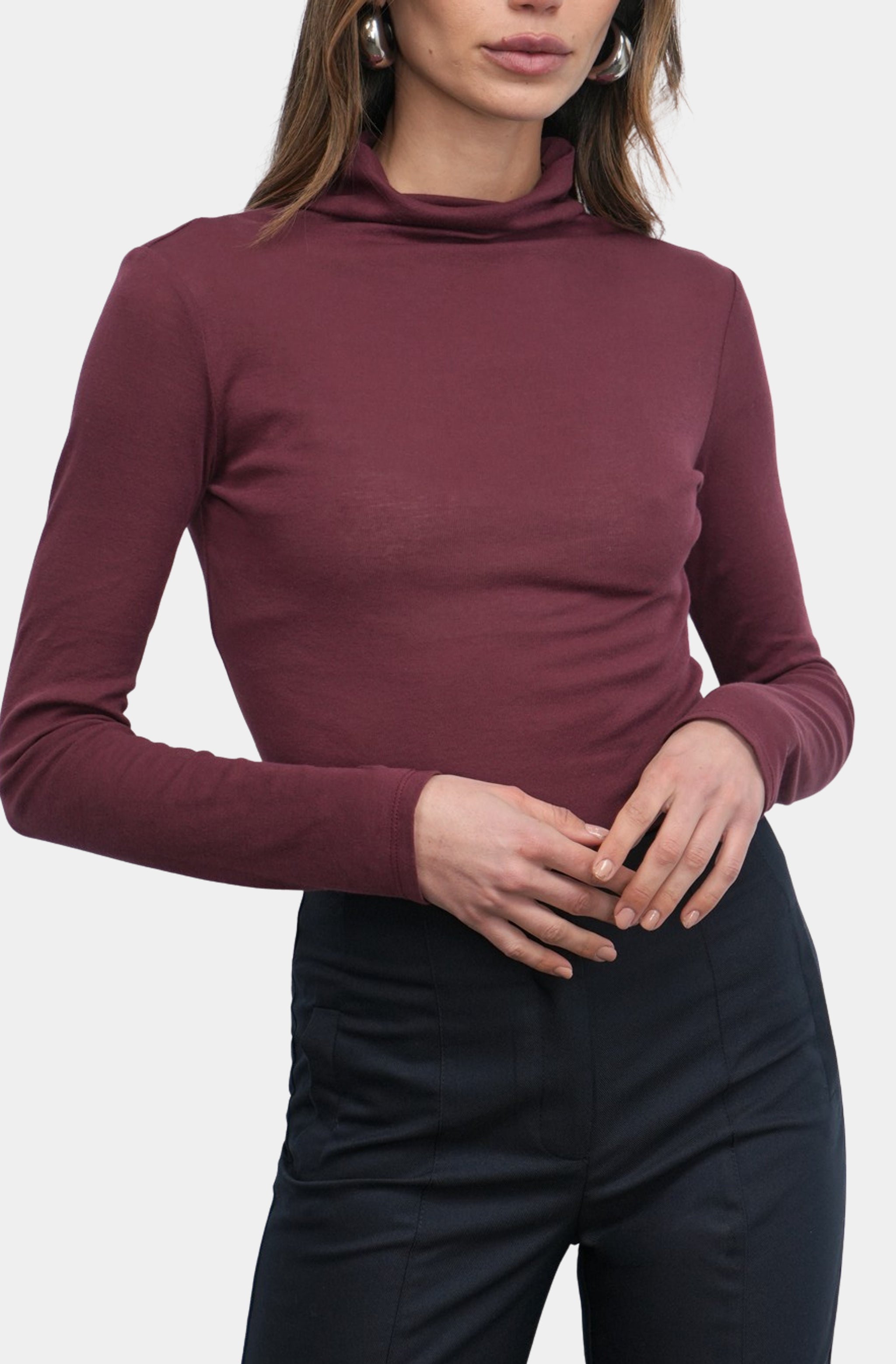 Astra High Neck Long Sleeve Sheer Knit Top