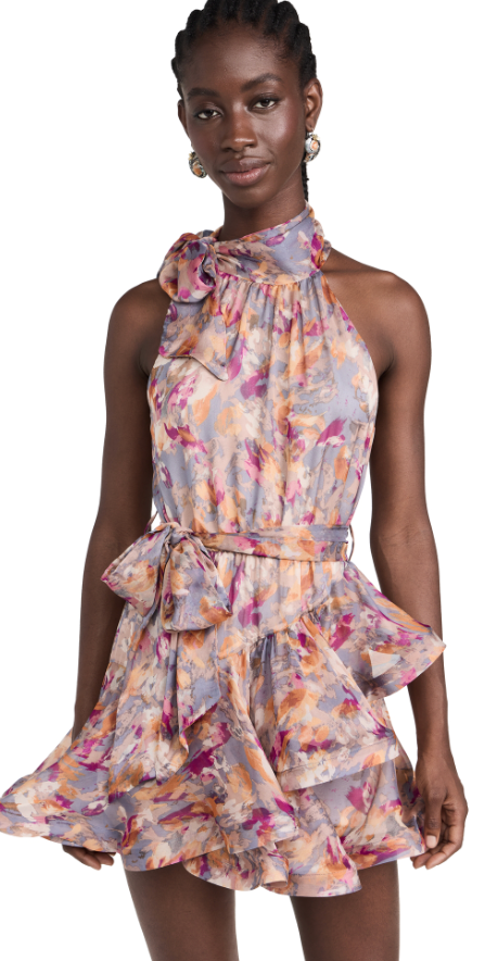 Aristocratic Dress