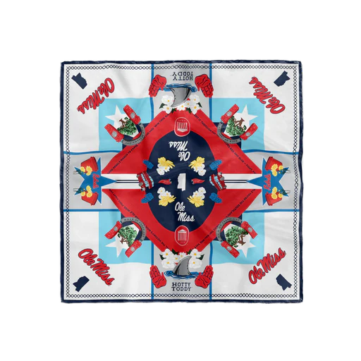 Game Day Silk Scarf