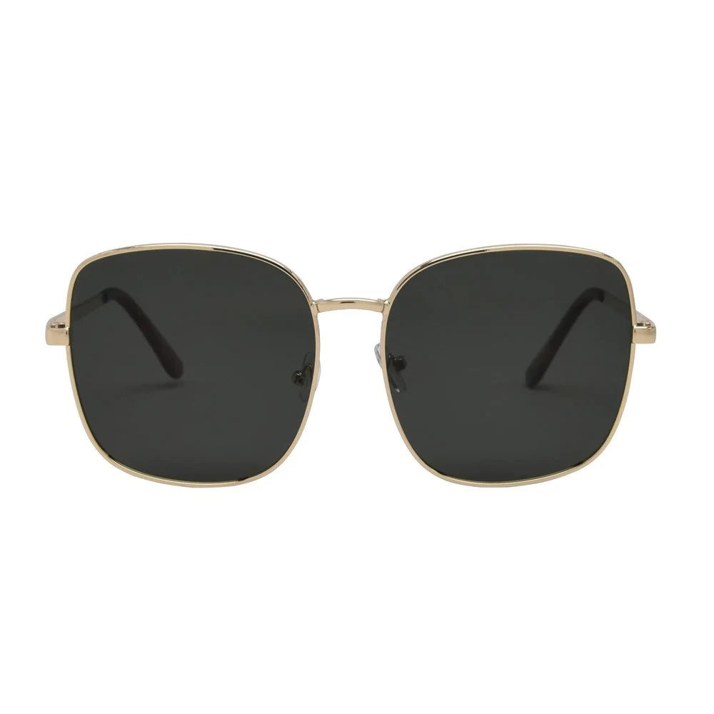 Montana Sunglasses