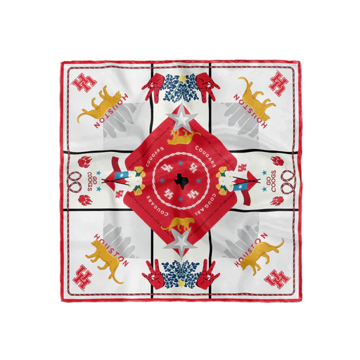 Game Day Silk Scarf