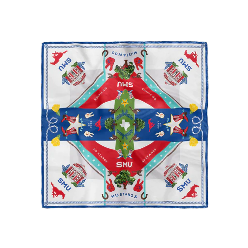 Game Day Silk Scarf